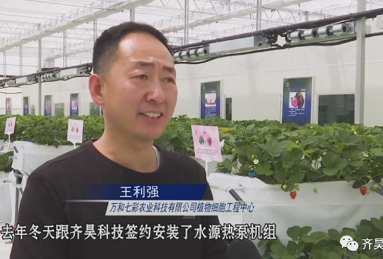 萬和七彩農業科技有限公司植物細胞工程中心王利強